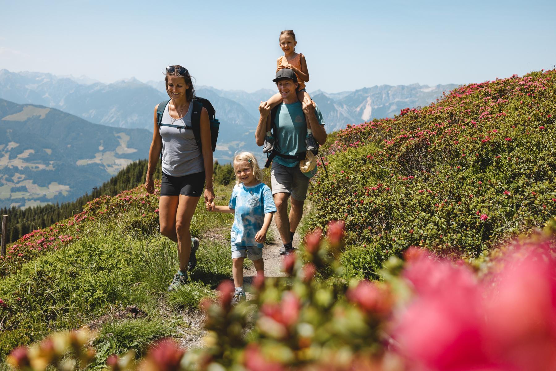 K1600 Panoramaweg Wiedersbergerhorn Alpbach Familie mit Almrosen Sommer Alpbachtal Tourismus Foto Mathäus Gartner1 2